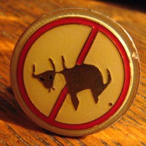 No Prehistoric Animal Cattle Caribou Buffalo Pin